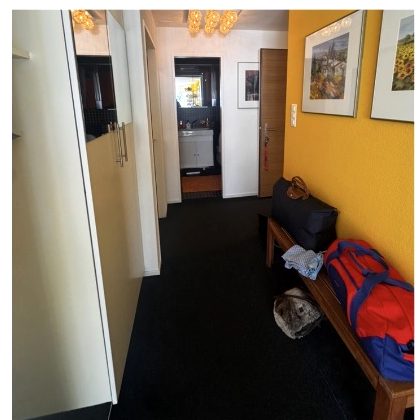 L'entrée de l'appartement